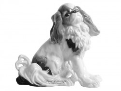 ������������ ��������� "�������� ���"